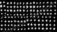 High Resolution Decal Dots Texture 0001